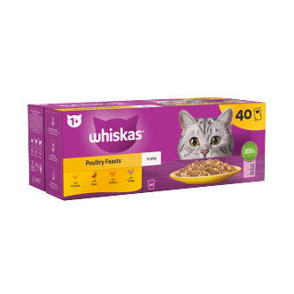 40 x Whiskas Cat 1+ Pouch Jelly Poultry Feasts (85Gm)