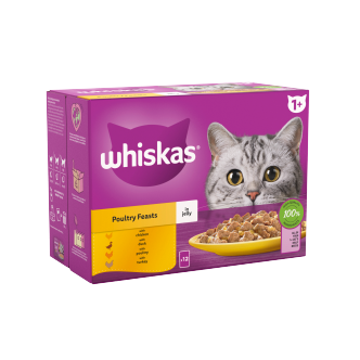 4 x Whiskas Cat 1+ Pouch Jelly Poultry Feast 12 Pack - 12X85Gm