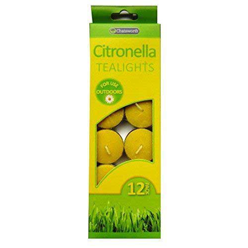 24 x Citronella Tealights - 12 Pack