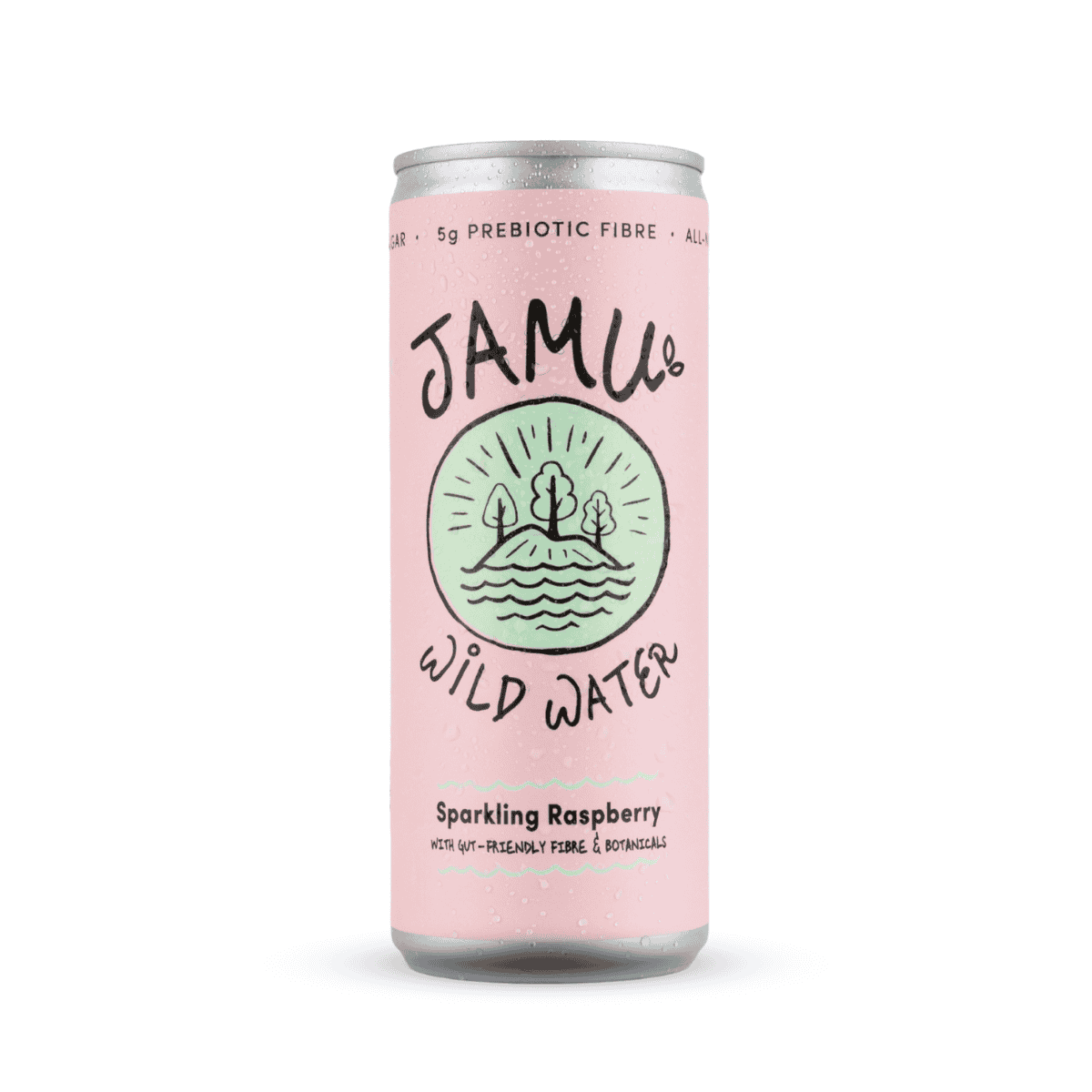 12 x Jamu Wild Water Natural Sparkling Raspberry - 250ml