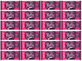 24 x Jamesons Raspberry Ruffle Multipack 5 Pk - 5PK