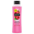 6 x Alberto Balsam Sunkissed Raspberry Shampoo 350Ml