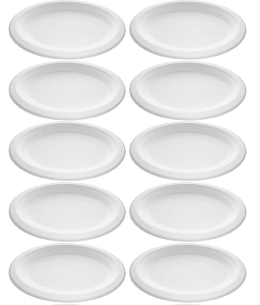10 x Bagasse Plate Oval Rigid 10.5 X 8