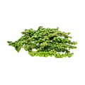 Fresh Green Peppercorn/Hạt Tiêu Xanh Tươi 100g