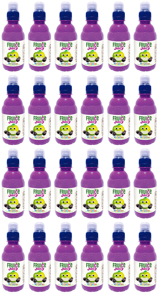 24 x Fruice Juicy Apple And Blackcurrant 250Ml