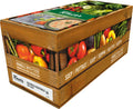 4 x Knorr Soup 100% Chicken And Vegetable 2.5L