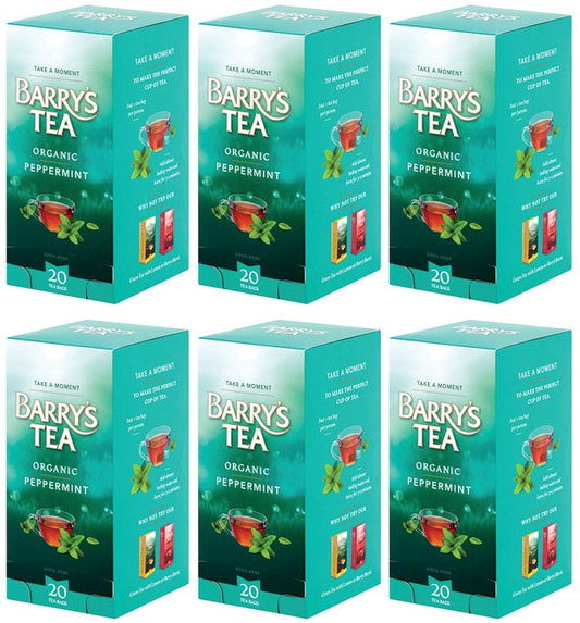 6 x Barry's Tea 20 Organic Peppermint 30G