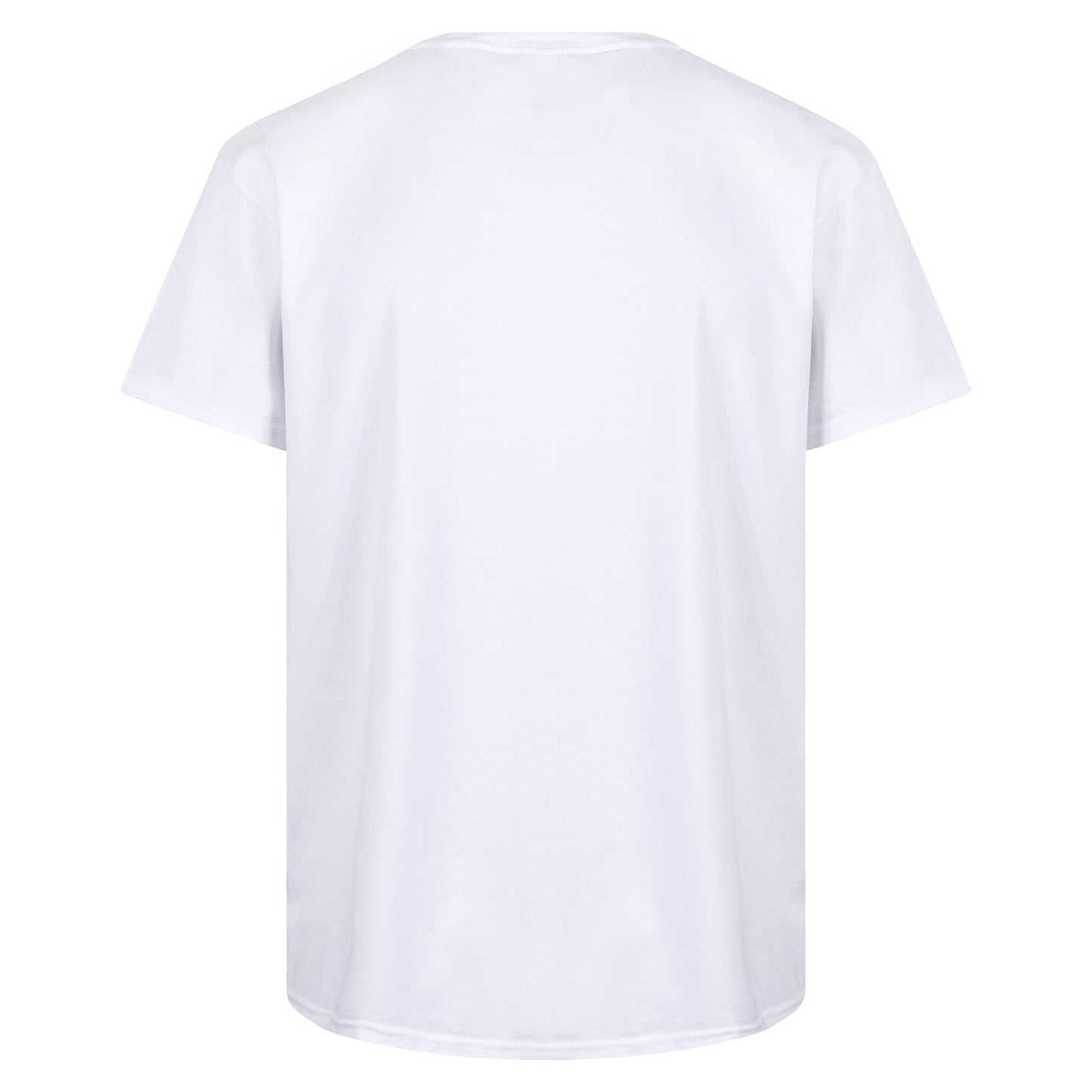 Fruit of the Loom Iconic 165 Classic T-Shirt