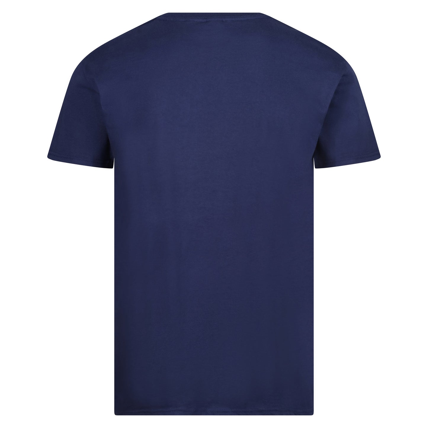 Fruit of the Loom Iconic 165 Classic T-Shirt
