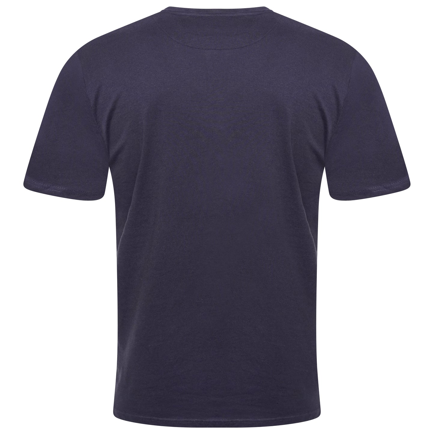 Brave Soul Saint Cotton V Neck T-Shirt