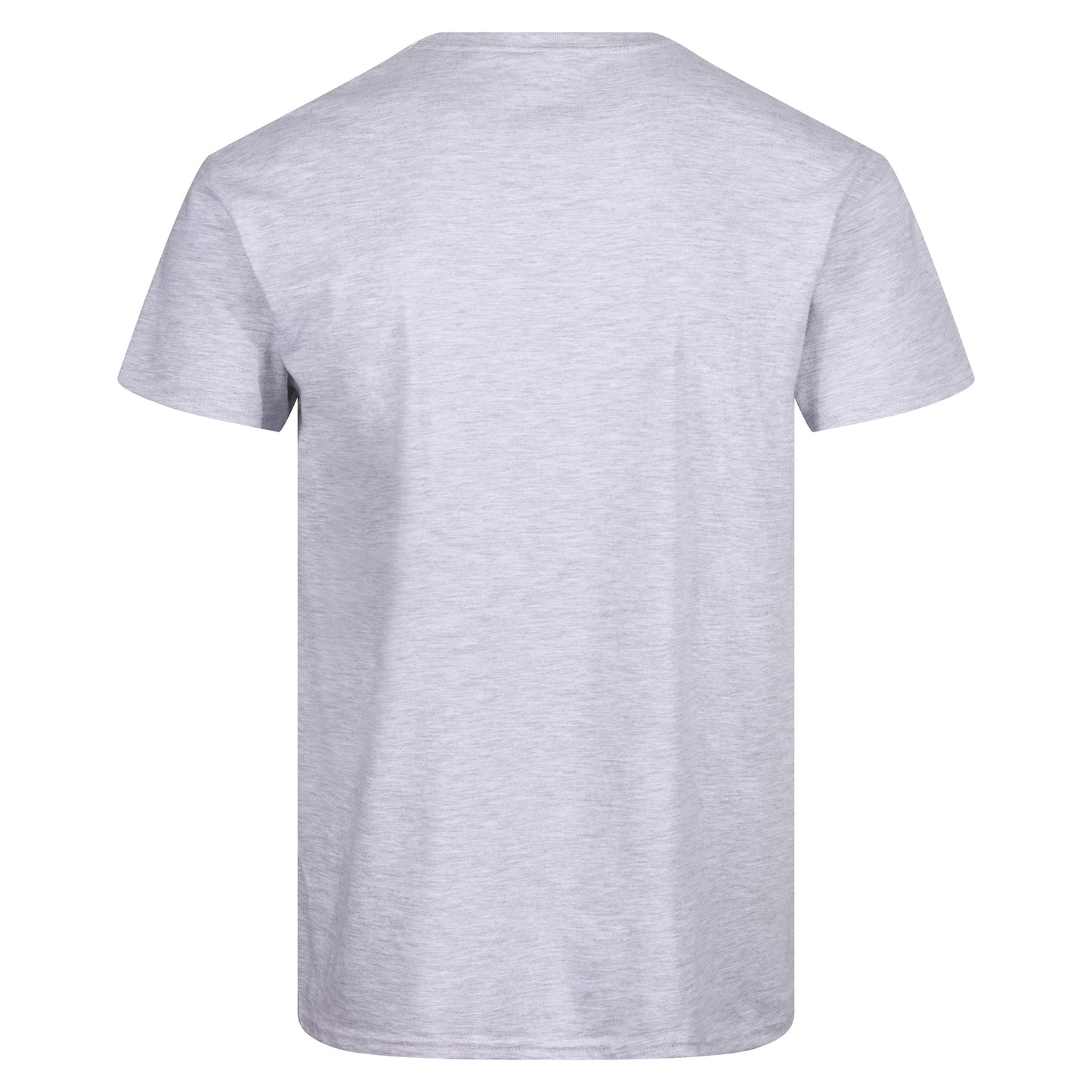 Fruit of the Loom Iconic 165 Classic T-Shirt