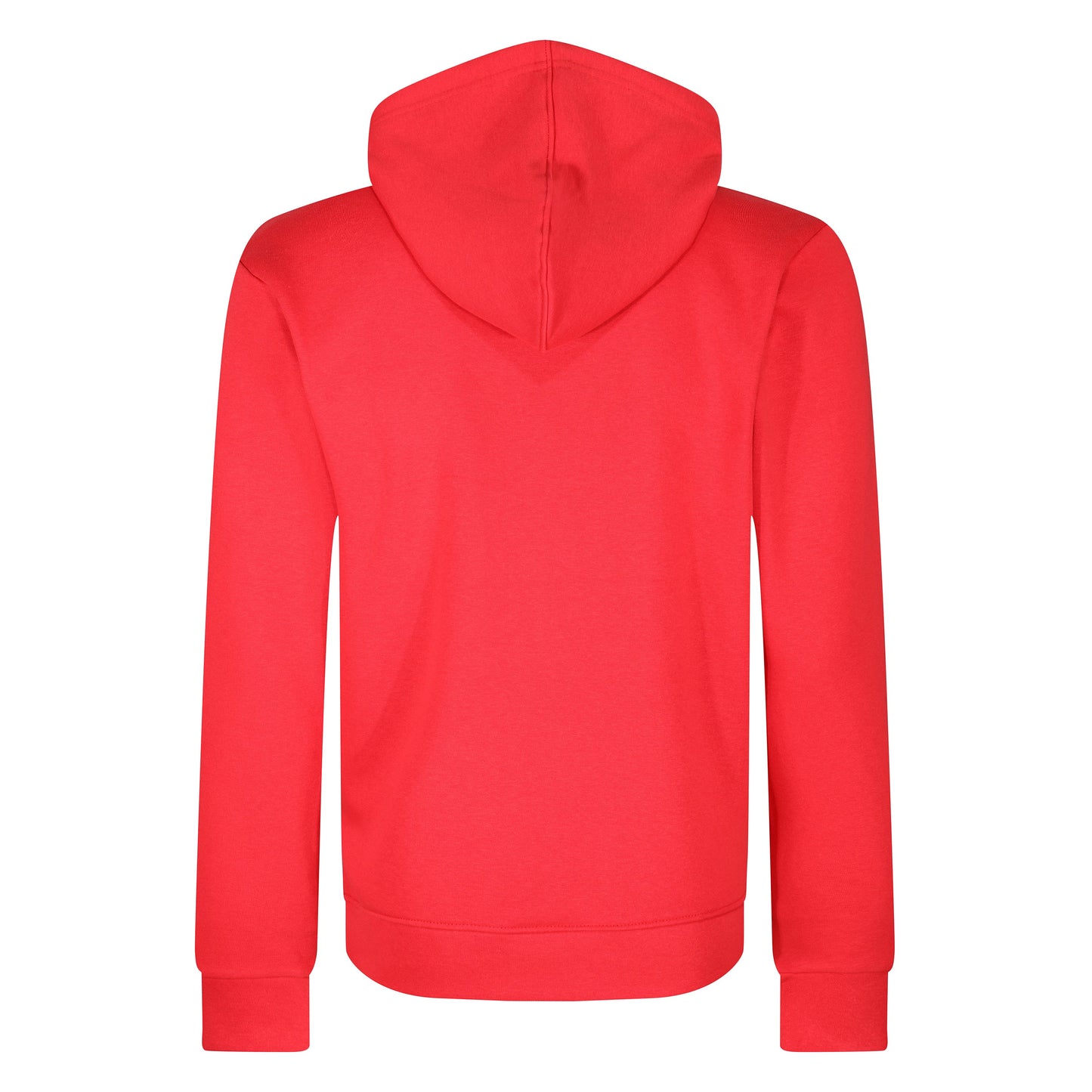 Champion Script Logo Hoodie